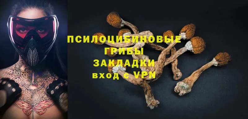 Галлюциногенные грибы Psilocybe  закладки  Ивдель 